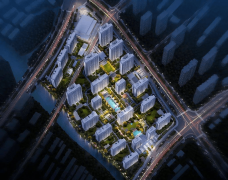 嘉兴市茶园小学、三水湾小学、嘉兴市秀州中学