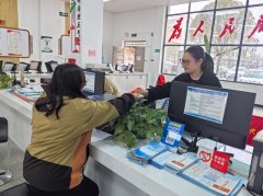 一条高效通顺的运输动脉被成功塑